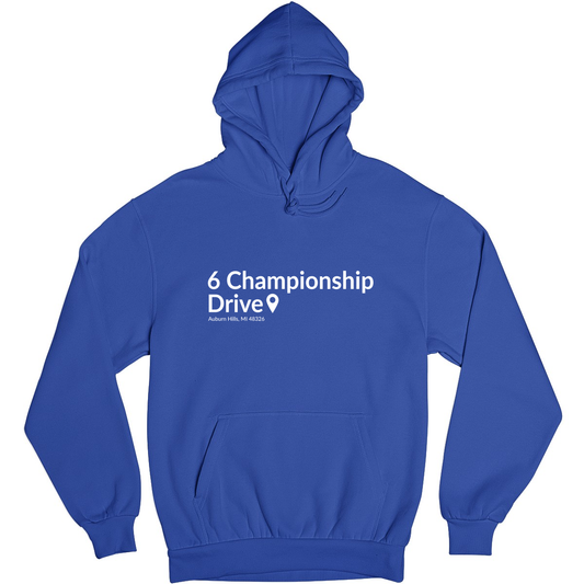 Detroit Basketball Stadium Unisex Hoodie | Blue