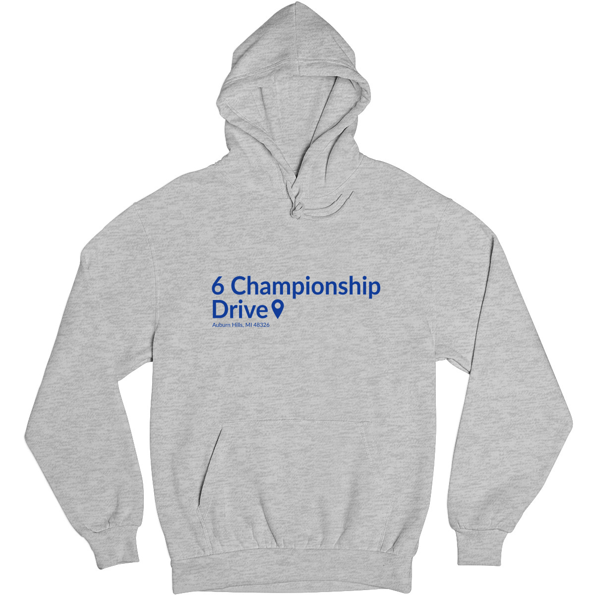 Detroit Basketball Stadium Unisex Hoodie | Gray
