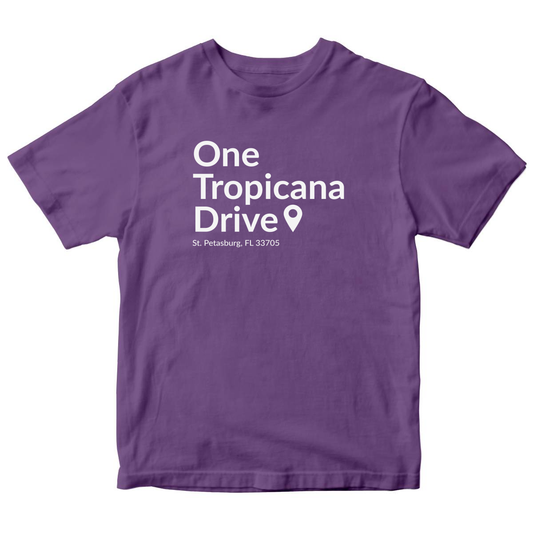 Tampa Bay Baseball Stadium Kids T-shirt