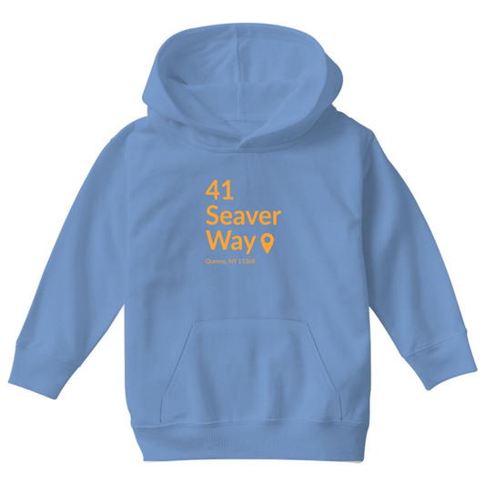 New York Baseball Stadium QNY Kids Hoodie | Blue