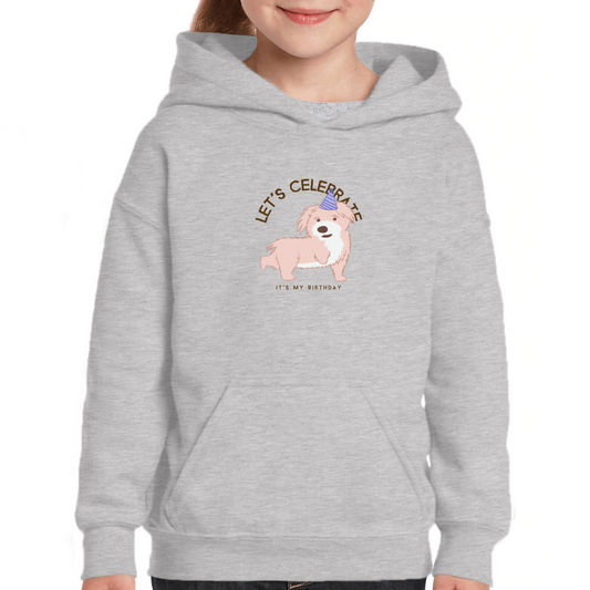 Let's Celebrate It is My Birthday Kids Hoodie | Gray