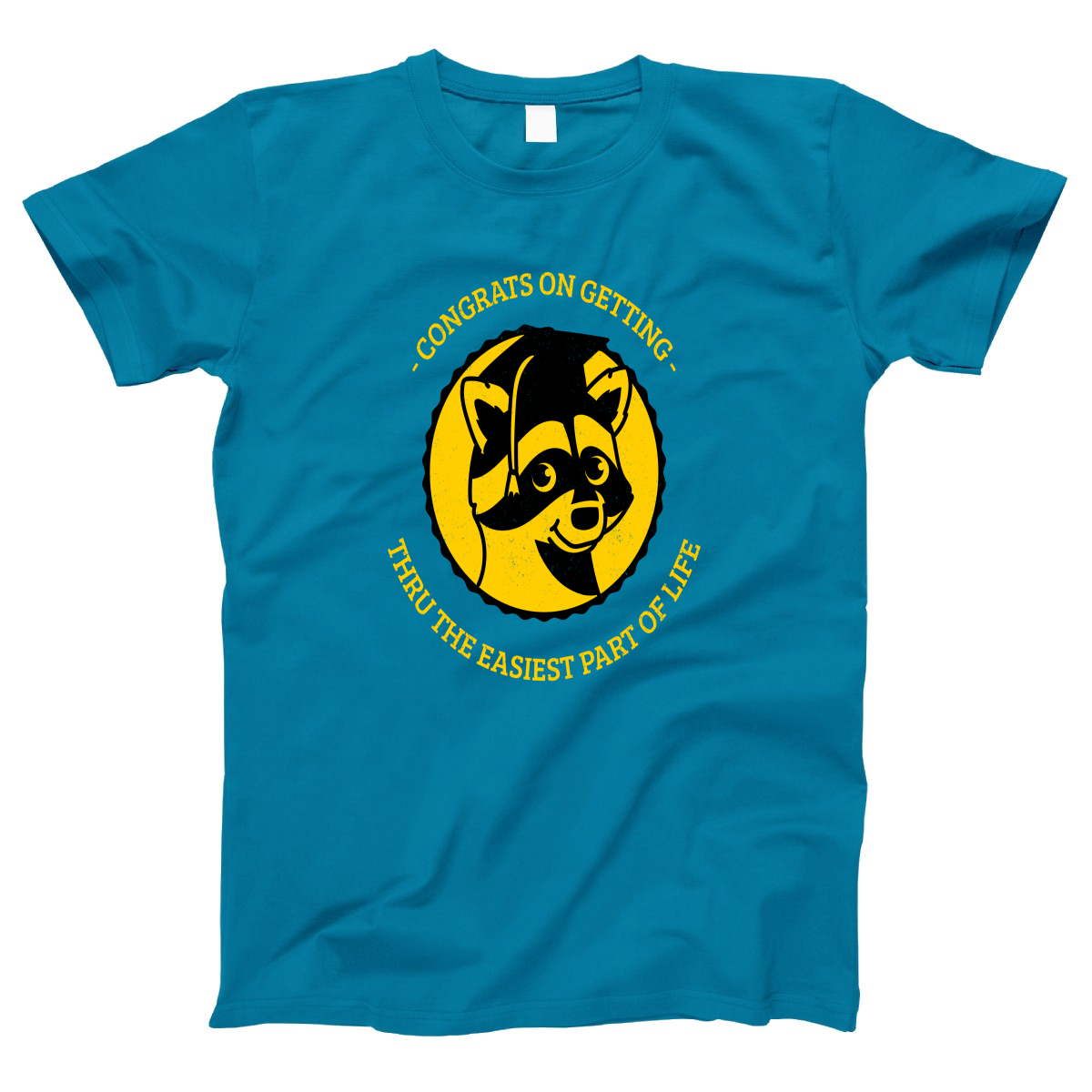 Congrats On Getting Thru The Easiest Part Of Life Women's T-shirt | Turquoise