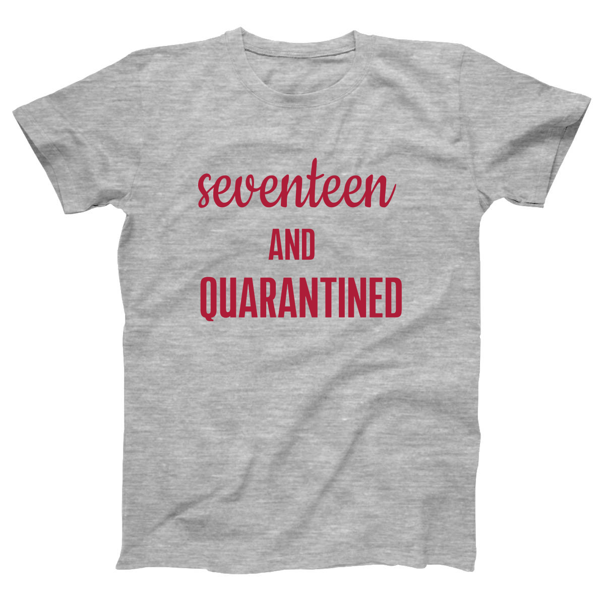 17th Birthday and Quarantined Women's T-shirt | Gray