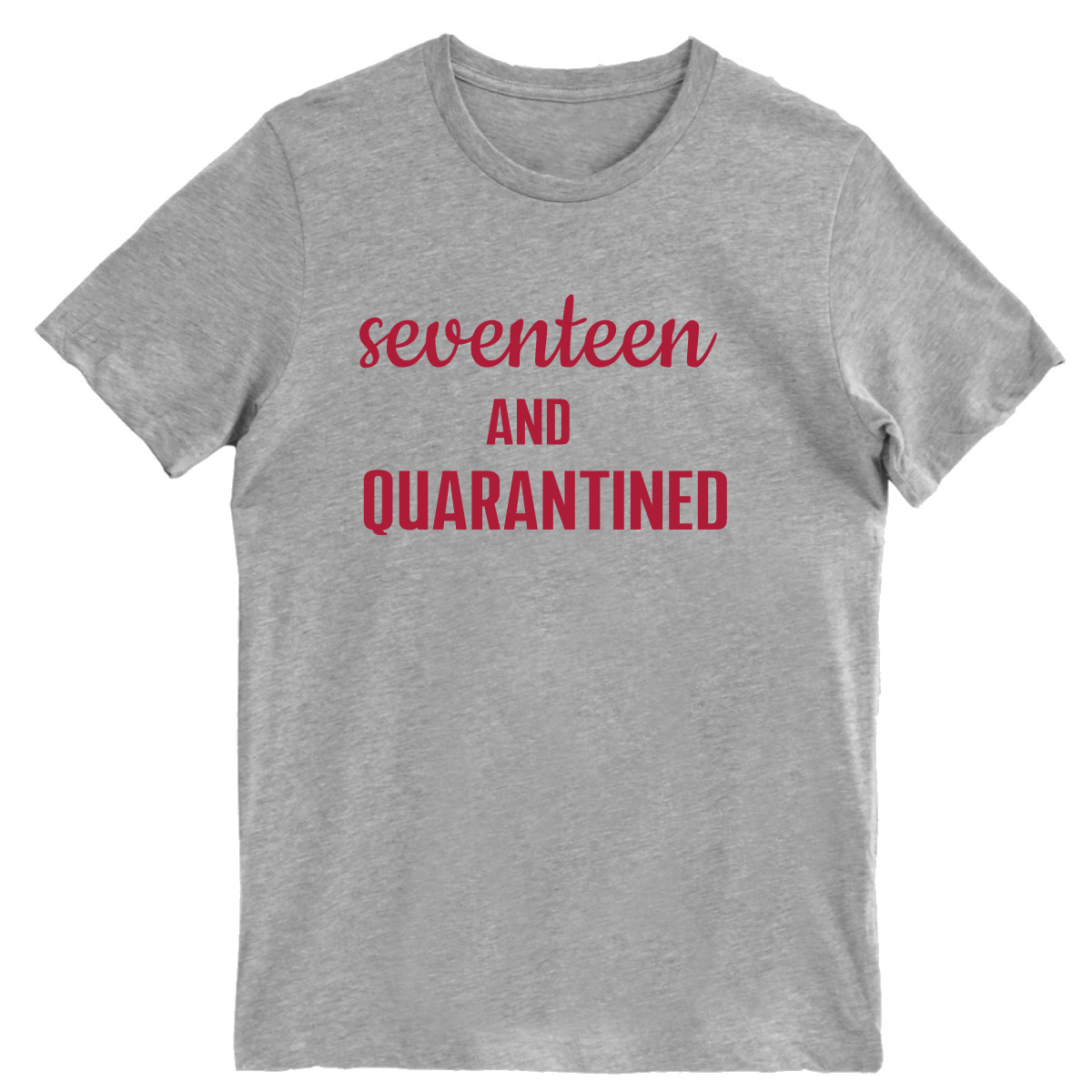 17th Birthday and Quarantined Men's T-shirt | Gray