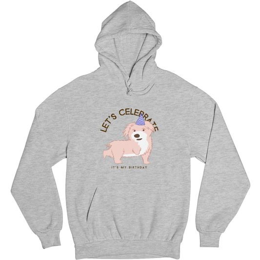 Let's Celebrate It is My Birthday Unisex Hoodie | Gray