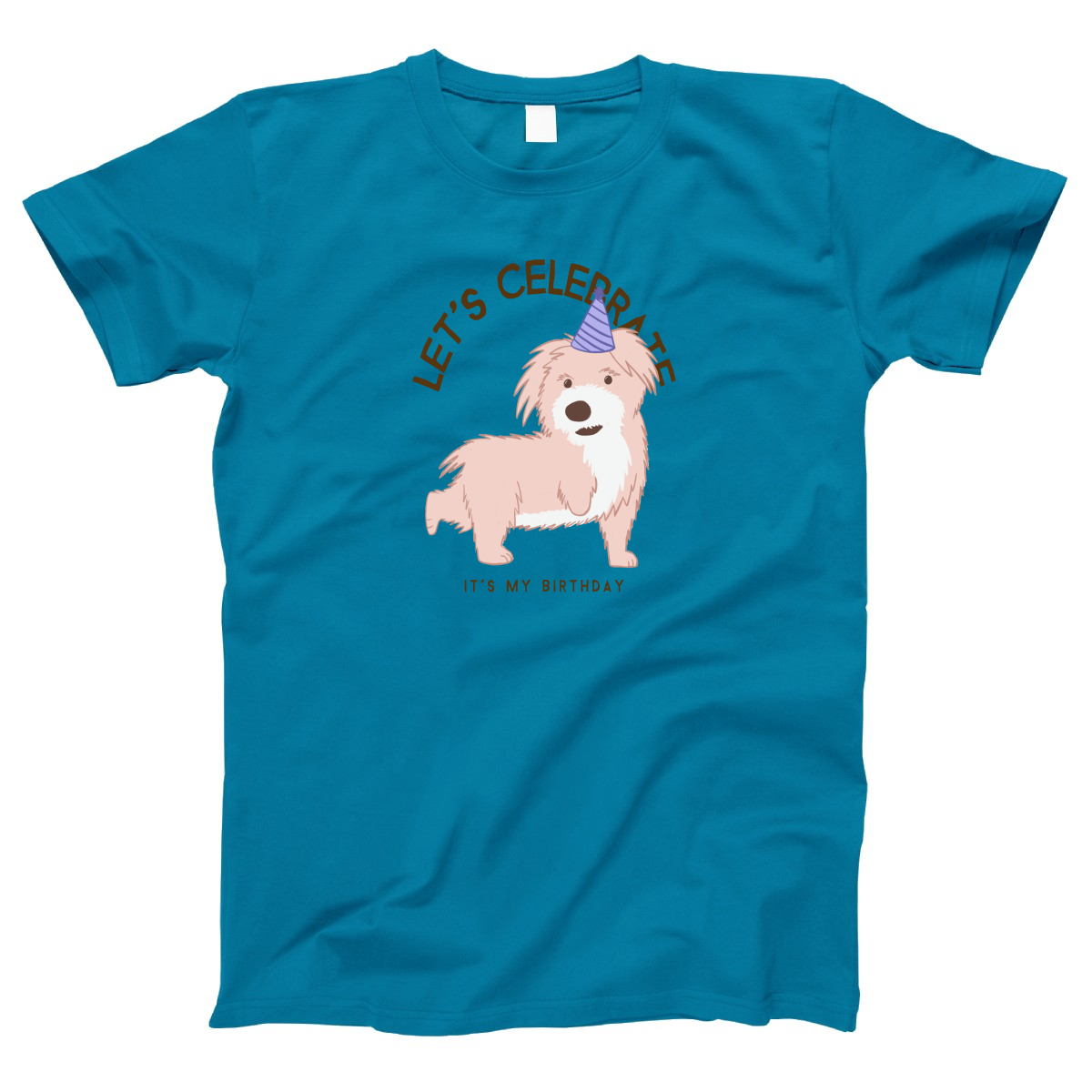 Let's Celebrate It is My Birthday Women's T-shirt | Turquoise