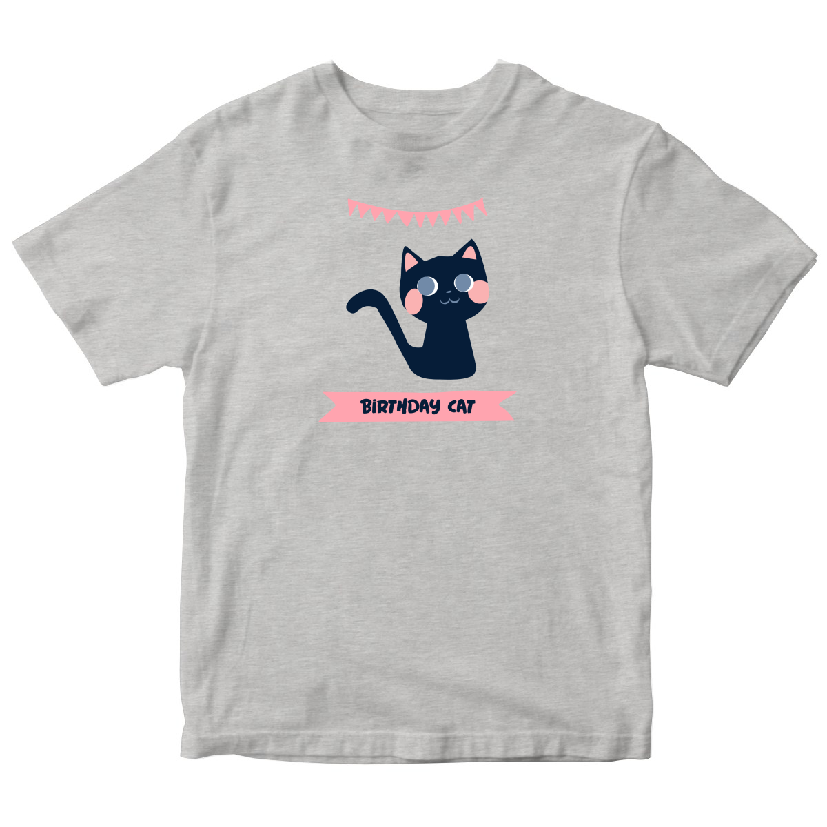 Birthday Cat Toddler T-shirt | Gray