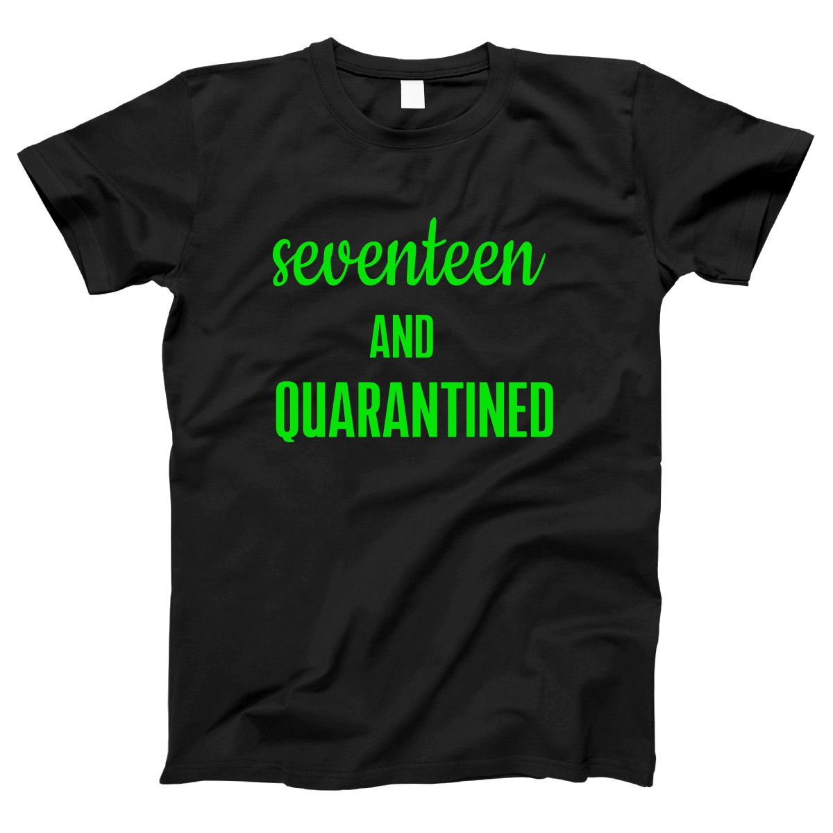 17th Birthday and Quarantined Women's T-shirt | Black