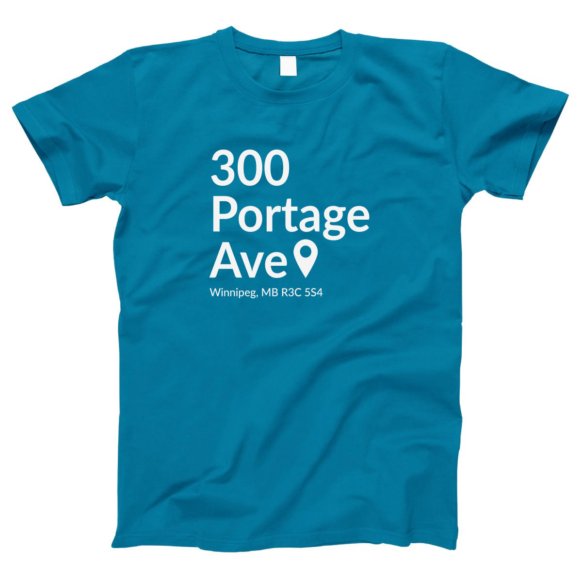Winnipeg Hockey Stadium  Women's T-shirt | Turquoise