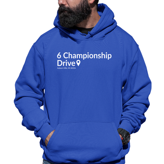 Detroit Basketball Stadium Unisex Hoodie | Blue