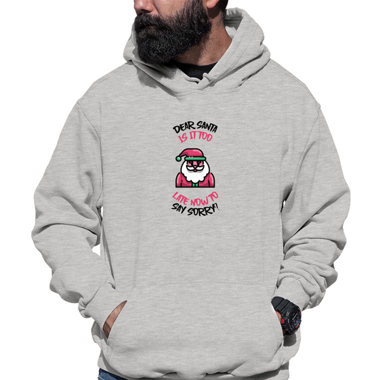 Dear Santa, Is It Too Late to Say Sorry? Unisex Hoodie | Gray